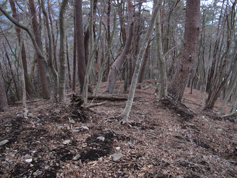 20160204hike (311)